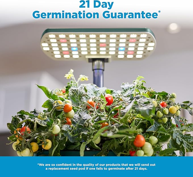 AeroGarden Harvest Lite in Green Soil-Free Indoor Hydroponic Garden with LED Grow Light for Year-Round Gardening of up to 6 Herbs and Vegetables