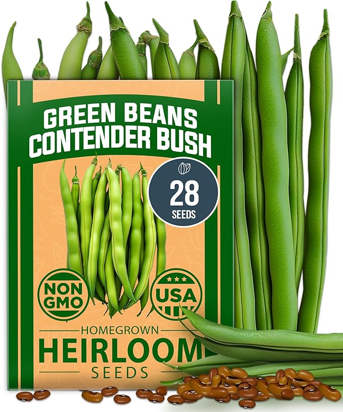 HOME GROWN 𝗨𝗦𝗔 𝗣𝗥𝗘𝗠𝗜𝗨𝗠 𝗢𝗥𝗚𝗔𝗡𝗜𝗖 Watermelon Vegetable Seeds 15 &amp Golden Bantam Corn 100 &amp Contender Bush Bean 28 &amp Sunflower 520