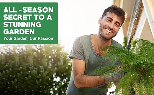 8-4-8 Professional Palm Tree Fertilizer &amp 8-4-8 Acidic Fertilizer for Indoor and Outdoor Plants Palm Trees - Acidic Fertilizer for Azaleas Camellias Hydrangeas Blueberries (1 Qr &amp 12oz)