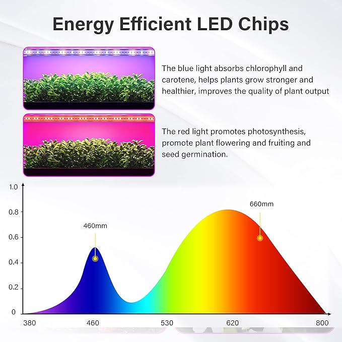 iPower 60W LED Plant Grow Light Strips Full Spectrum for Indoor Plants with Auto ON/Off 3/9/12H Timer 10 Dimmable Levels 48 LEDs Per Tude for Hydroponics Succulent 4 Tubes Red&ampBlue