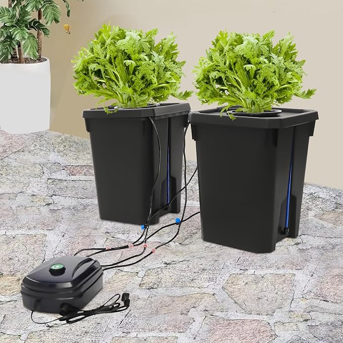 2 Buckets DWC Hydroponics Grow System with 5-Gallon Deep Water Culture Recirculating Drip Garden System Kit Hydroponics Growing System Kit with Air Pump &amp Top Drip Kit for Indoor Outdoor Plants