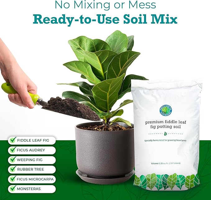 100% Organic Fiddle Leaf Fig Soil – Optimally-Draining Potting Mix for Healthy Roots Fewer Brown Spots &amp Faster Growth | Enriched with Biochar &amp Bark | Made in USA | Large 7.5L Bag