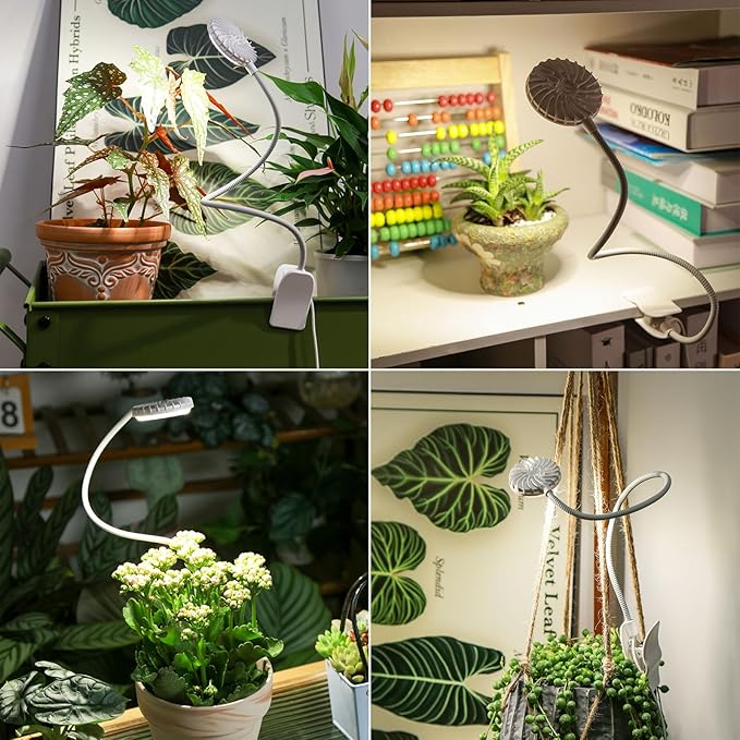 Plant Grow Lights Full Spectrum Clip Plant Growing Lamp 4000K LED Grow Light Indoor 4 Dimmable Levels Adjustable Pot Grow Lamp Auto On/Off Timing 4/8/12H White 2 Pack Succulents