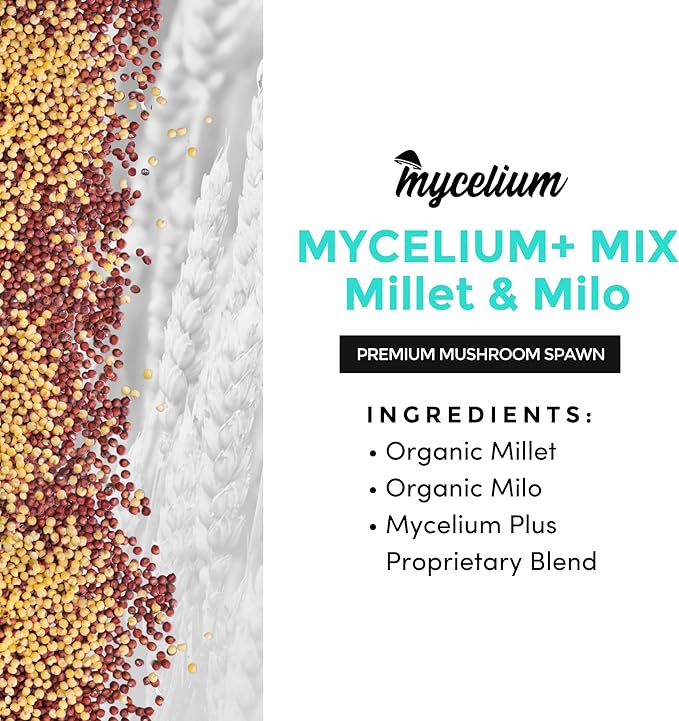 Mycelium Plus Grain Mix Mushroom Spawn Millet Grain I Organic Grain Feed Mushroom Growing Kit I Indoor Cultivation for Starter &amp Pro Home Growers I Non-GMO &amp Sourced from Local USA Farms 5lb
