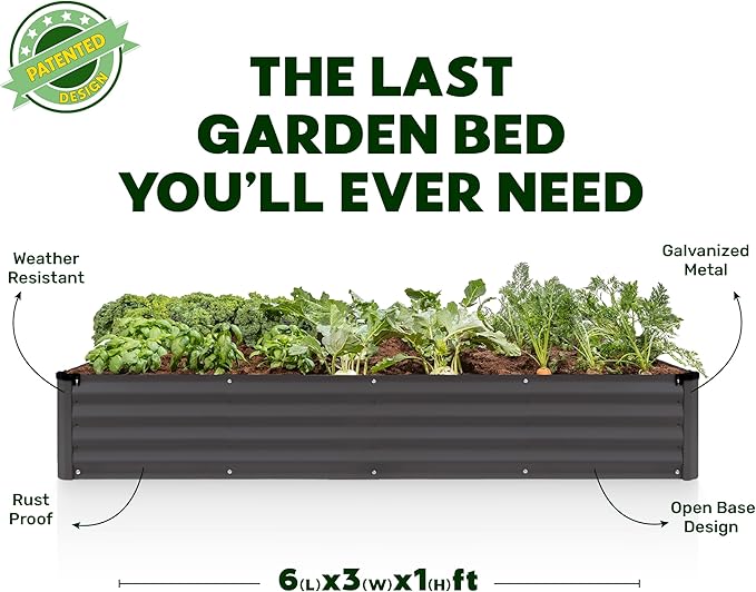 Plant &amp Plot Galvanized Raised Garden Beds Outdoor // 6×3×1 ft Planter Raised Beds for Gardening Vegetables Flowers // Large Metal Garden Box // Patented Tool-Free Design (Dark Gray)