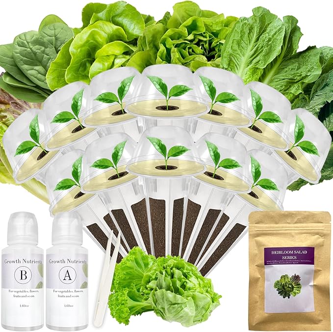 Salad Greens Seed Pod Kit for AeroGarden iDoo Ahopegarden MUFGA with Red/Green Romain/American Fast/Buttercrunch/Parris Island Lettuce Spinach - Compatible with All Garden (12-Pod)