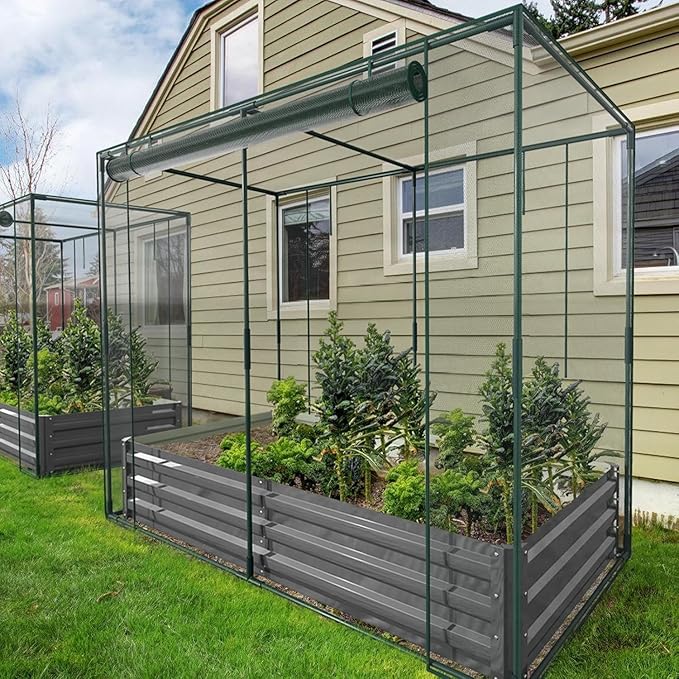 DoCred Crop Cage with Raised Garden Bed 72.8 x 37.4 x 59 Plant Protection Tent Garden Cages with Window 2 in 1 Galvanized Raised Garden Bed Kit and Mesh Cover for Garden Yard Lawn