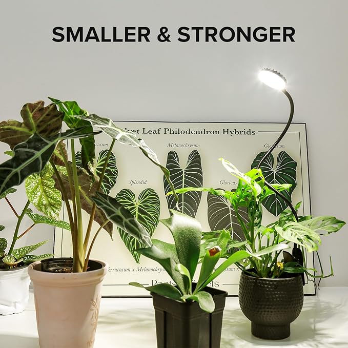 Plant Grow Lights Clip on Grow Light for Indoor Plants Full Spectrum LED Plant Lights for Indoor Growing with Timer4-Level Dimmable for Growth Small Grow Lamps 2 Pack