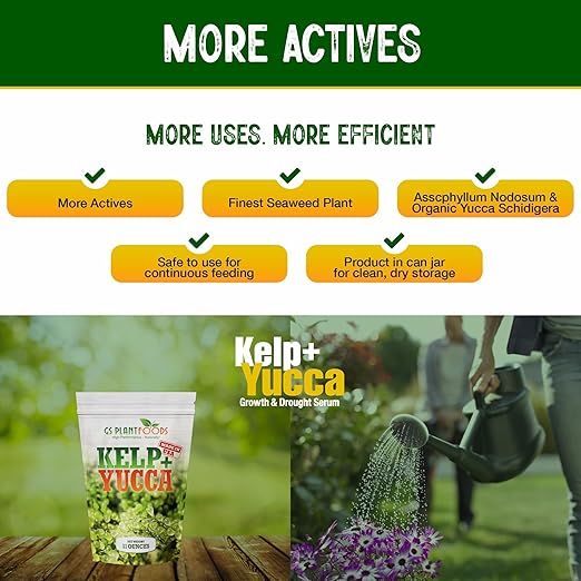 GS Plant Foods Kelp + Yucca Plant Fertilizer &amp Soil Conditioner – Heat &amp Drought Protection Formula for Vegetables Lawns Gardens &amp Houseplants (11 oz Dry Concentrate)