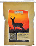 Forage Oat Seed 25-Pound