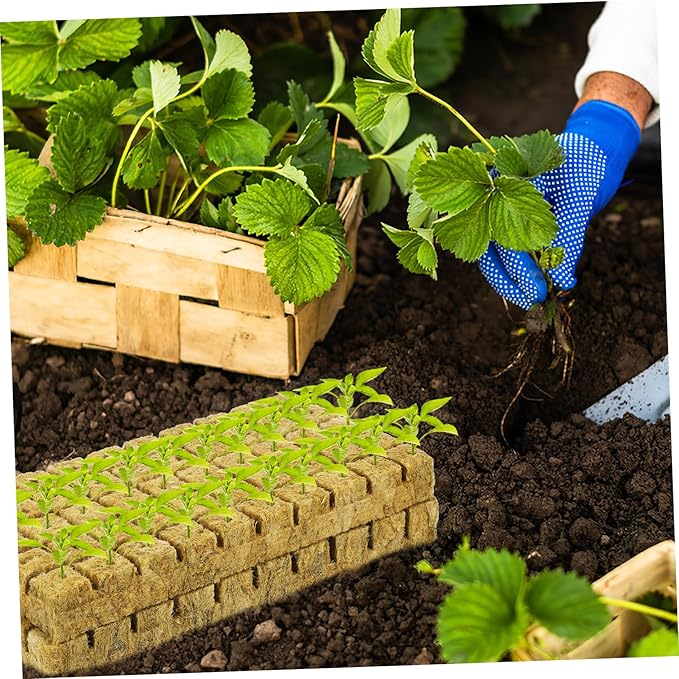 Toyvian 100Pcs Soilless Cultivation Planting Cubes for Hydroponics Soft Texture with Water Absorption for Starting and Plant Propagation