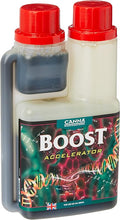 Advanced Nutrition Canna Boost Accelerator- 250Ml - Bloom - Big Yield - Bud Booster - Hydroponics