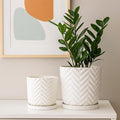 Planter Set of 2 Saucers Wave Patterns White Ceramic