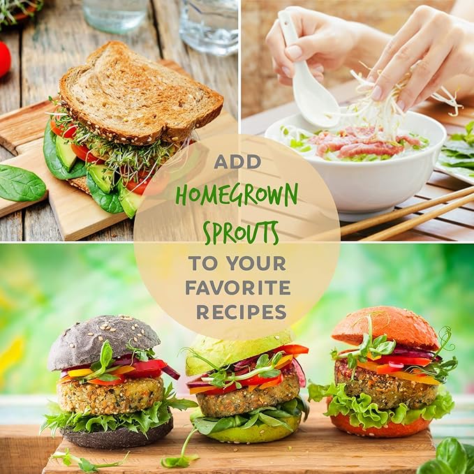 Organic Broccoli Sprouting Seeds by Handy Pantry | 2.5 Pound Resealable Bag | Bulk Non-GMO Broccoli Sprouts Seeds Contain Sulforaphane