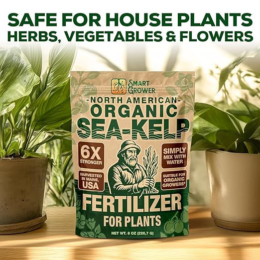 Organic Sea Kelp Fertilizer for Plants – Water-Soluble – Makes 200 Gallons – Kelp Meal Concentrate Plant Food – for Indoor Gardens Hydroponics Vegetables Houseplants - Smart Grower - 8oz Bag