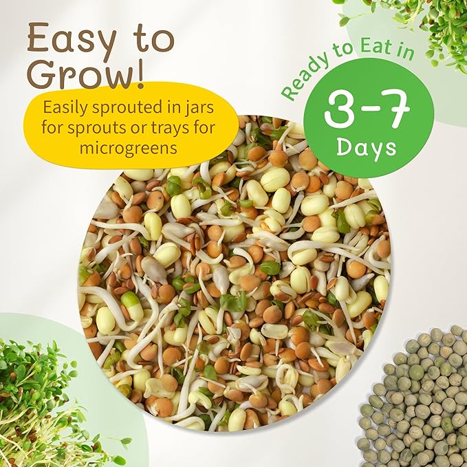 The Sprout House Assorted Mix Sprouting Seeds - Grow Fresh Sprouts &amp Bean Sprouts at Home Organic Non-GMO Nutrient-Packed for Salads Sandwich &amp Smoothies Premium 12 Pack | 2 oz Each