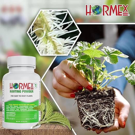Hormex Rooting Powder #1 &amp Vitamin B1 Hormone Concentrate Combo - Root Stimulator for Softwood Cuttings &amp Liquid - Perfect for Hydroponics House Plants Gardens Fruits &amp Vegetables 21g