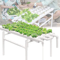 Hydroponic Growing Kits Plants Hydroponic Growing Systems 36 Plant Sites Hydroponics Grow Kit Vertical Hydroponic PVC Tube Grow with Water Pump &amp Pump Timer