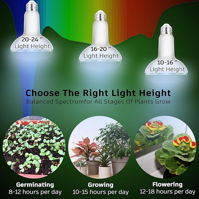 Full Spectrum BR30 Led Plant Grow Light Bulbs 15W 2000lmE26 BR30 Floodlight Sun Plant Growing Lamp200 Watt EquivalentBalanced Spectrum 5000K Red Blue for Seeds GreensIndore Garden Hydroponic2pcs