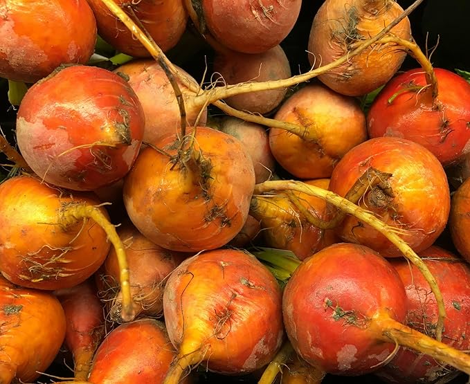 Beet Seeds for Planting - Plant &amp Grow Heirloom Beet Varieties Home Outdoor Vegetable Garden – Easy Grow Planting Packets Beta vulgaris – 5 Packets of Each Variety