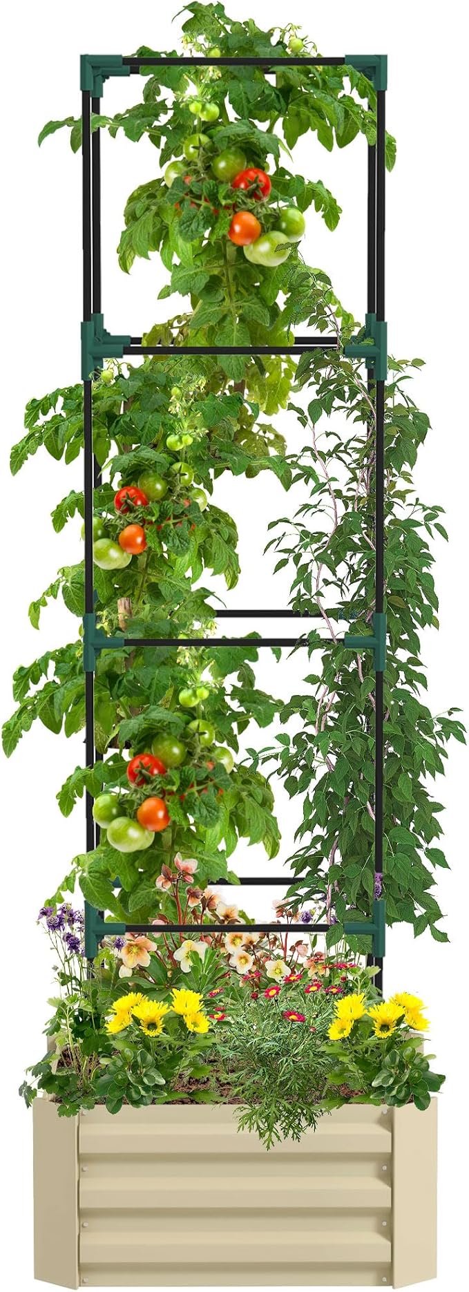 Outsunny Galvanized Raised Garden Bed 73.5 Tall Outdoor Planter Box with Trellis Tomato Cage and Open Bottom for Climbing Vines Vegetables Flowers in Backyard Garden Patio Cream