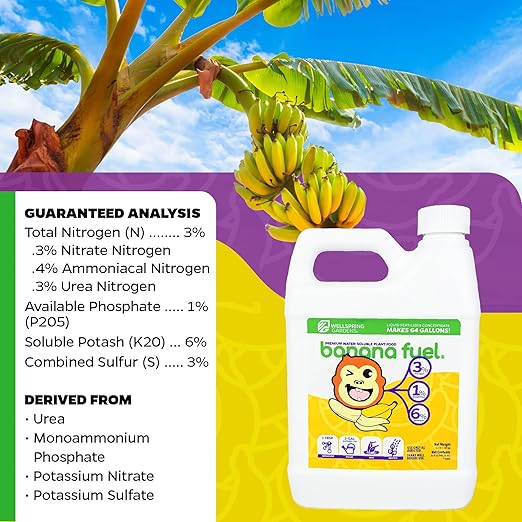 Wellspring Gardens Banana Fuel Liquid Fertilizer - Plant Fertilizer Concentrate - Plant Food - Formula for Banana Trees &amp Plants - Grow Healthy and Happy Plants - 32 fl oz