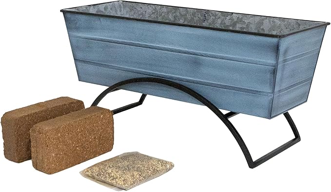Bloom Box Garden Growing Kit Medium Blue with Odette Stand