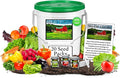 B&ampKM Farms 10000 Non GMO Heirloom Vegetable Seeds for Planting Vegetables and Fruits (20 Variety Pack) - Gardening Seed Starter Kit Survival Gear Food Gardening Gifts Prepper Supplies