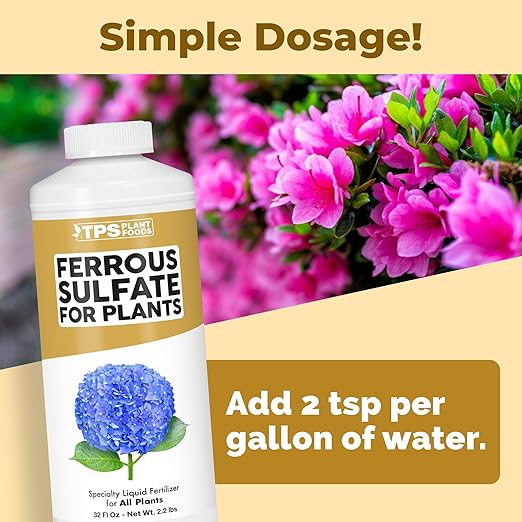 Ferrous Sulfate for Plants – Liquid Iron Supplement for Greener Leaves Improved Chlorophyll Production &amp Reduced Yellowing 32 oz