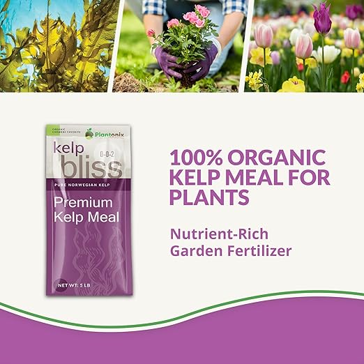 Kelp Bliss (5lbs) - Kelp Meal Organic Fertilizer for Plants Garden Soil Flowers Vegetables &amp Lawns - Organic Kelp Fertilizer &amp Soil Amendment - 100% Natural Plant Food Rich in Vitamins &am