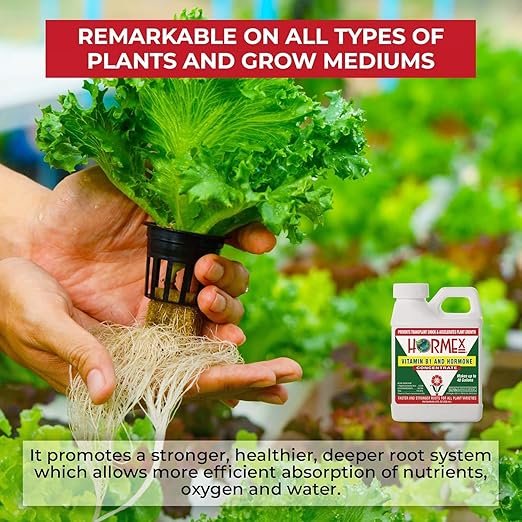 Hormex Rooting Powder #3 &amp Vitamin B1 Hormone Concentrate Combo - Root Stimulator for Semi-Softwood Cuttings &amp Liquid - Perfect for Hydroponics House Plants Gardens Fruits &amp Vegetables