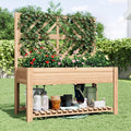 Vabches Wooden Elevated Raised Garden Bed with Trellis47x24x55 in Planter Box with Legs and Storage ShelfFreeStanding Gardening Planter for Flower Herb Vegetable Fruit Climbing Vines