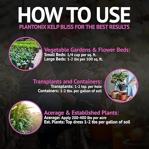 Char Bliss (8 Qts) + Kelp Bliss (5lbs) - Kelp Meal Organic Fertilizer &amp Organic Biochar for Plants - Biochar Soil Amendment - Charcoal for Plants - Organic Kelp Fertilizer for Plants - Kelp for Pl