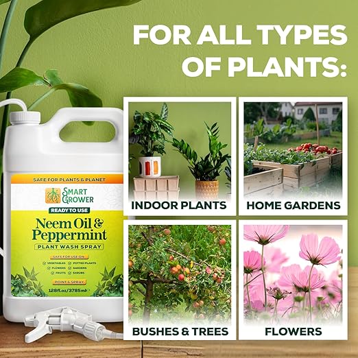 Neem Oil Spray for Plants with Peppermint Oil 128oz with Trigger Sprayer Natural Plant Wash Made for Indoor and Outdoor Plants - 128oz Smart Grower