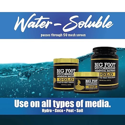 Big Foot Mycorrhizae Starter Bundles - for Established Plants Transplanting Rooting Powder - Big Foot Gold 4 oz + Root Boost 2 oz