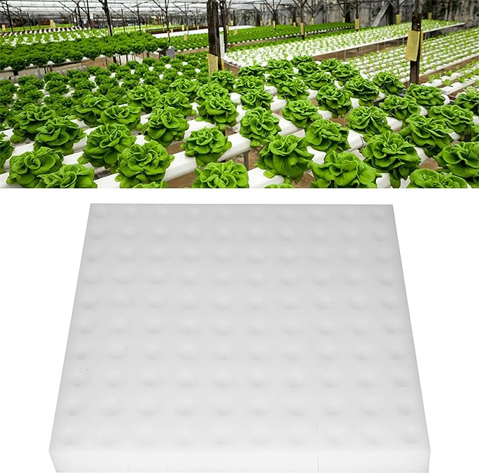 Generic Sponge Cubes for Hydroponics10Pcs Hydroponic Sponge Planting Gardening Tool Square Seedling Sponges for Greenhouse Small Bud Growth or Grow Seedlings White