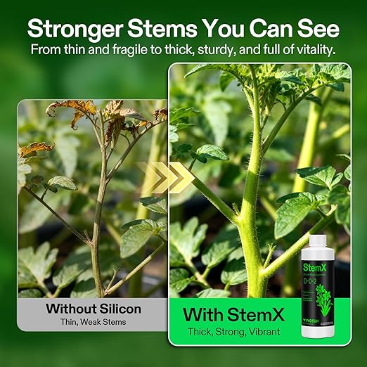 VIVOSUN StemX (0-0-2) Silica for Plants Soluble Liquid Silicon Plant Supplement Fertilizer Nutrient Solution for Strong Stems and Healthy Leaves Boost Resilience pH Balance 8 oz (Pack of 2)