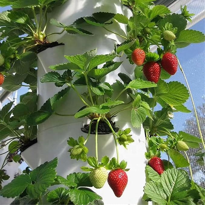 Hydroponics Growing Tower 6 Floor 36 Pods Garden Hydroponic Growing with Pump Aeroponics Grow Kit for Fruits and Vegetables-//