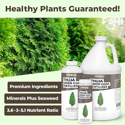 Thuja Green Giant Fertilizer – Liquid Plant Food for Faster Growth Fuller Green Foliage &amp Stronger Roots 1 Gallon