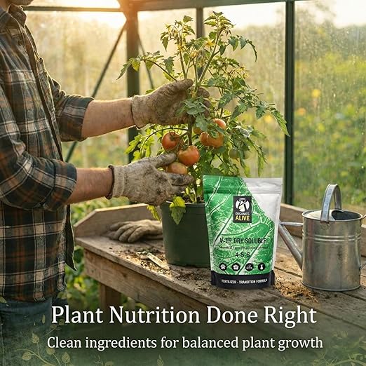 V-TR Dry Soluble Microbial Fertilizer Transition Formula 1 lb.