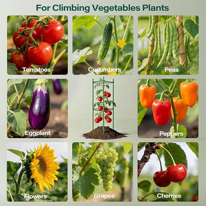 Halatool 63 Inch Tomato Cages 4 Pack Adiustable Plant Cages Assembled Tomato Garden Cages Stakes Vegetable Support Trellis with 120 Feet Twist Tie Snap-On for Vertical Climbing Plants