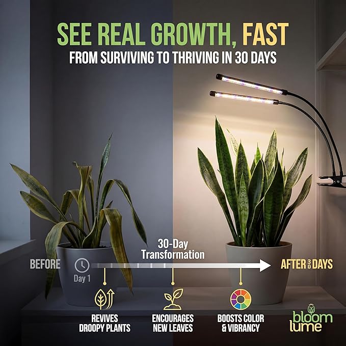 Bloom Lume LED Grow Lights for Indoor Plants Full Spectrum - Features Multi Mode Color Spectrums Dimmable Auto Timer Clip on Goosneck Plant Lamp