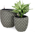 Generic 2 Pack Self Watering Wicker Planter Garden Decoration Pot Round Gray