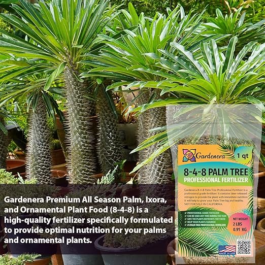 Premium 8-4-8 Professional Palm Tree Fertilizer Plant Food |Indoor Potted Plants and Outdoor Landscape Palm Trees | Quick-Release Nitrogen Fertilizer and Continuous Feeding (10 Quarts)