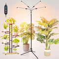 FECiDA 2026 4Head Grow Lights with Upgraded Stand Standing Grow Lights for Indoor Tall Plants Bonsai Tree 4/8/12/16/20 Hr Timer 36 Watt Power Draw NO Need Adapter 24-72 Height Adjustable