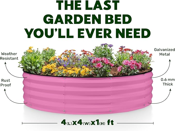 Plant &amp Plot Galvanized Raised Garden Beds Outdoor // 4×2×1 ft &amp 4×4×1 ft Planter Raised Beds for Gardening Vegetables Flowers // Large Metal Garden Box (Pink)