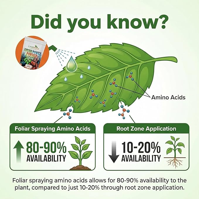 Amino Power Powder Nitrogen Fertilizer - Plant Based High Nitrogen Fertilizer for Plants - All Natural Nitrogen Source and chelating Agent - Suitable for Turf Vegetables Fruits &amp Berries