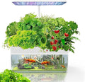 Smart Garden 12 Pods Countertop Hydroponic Growing System with LED Grow Light Indoor Smart Hydroponics &amp Eco Fish Tank Planter for Home Kitchen Office White