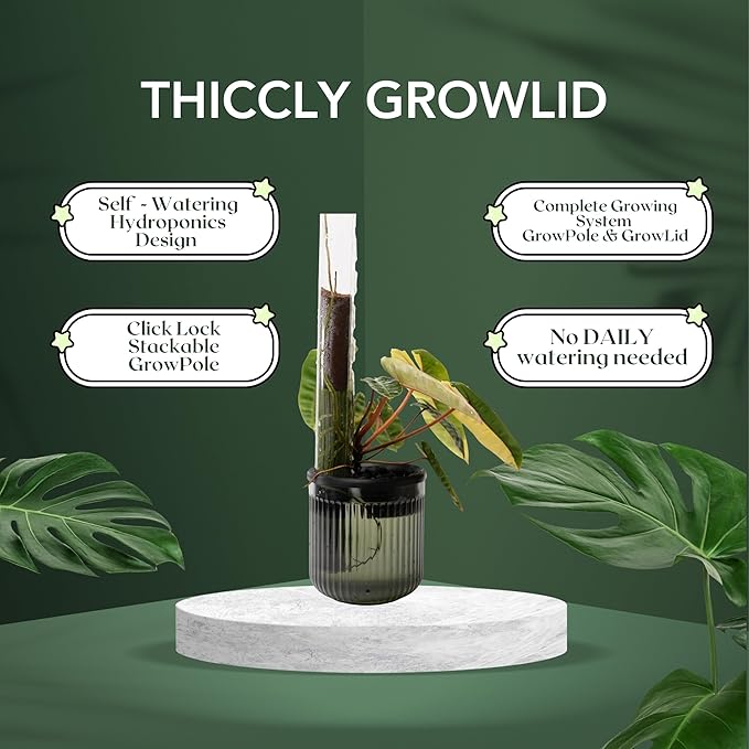 THICCLY Small GrowLid 10 Pcs (Clear) - Self Watering Clear D-Shaped Plastic Moss Pole Hydroponics Growing System Kratky Hydroponic Kit Moss Pole Monstera Plant Support Philodendron and Anthuriums