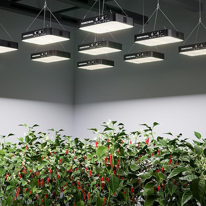 KOSCHEAL 2025 Upgrade KC1600 Dimmable Plant Grow Light with Yield LEDs3 Modes Grow Lights (Veg Bloom Veg+Bloom) 0-100% Dual Knob Dimming 2.9μmol/J PAR Daisy Chain Built-in Fan